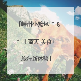 嵊州小笼包“飞”上蓝天 美食+旅行新体验
